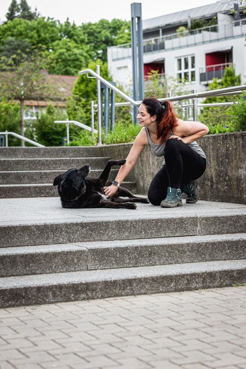 Eine Frau streichelt einen Hund am Boden